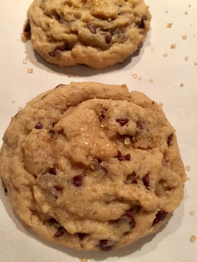 Another Choc Chip Cookie